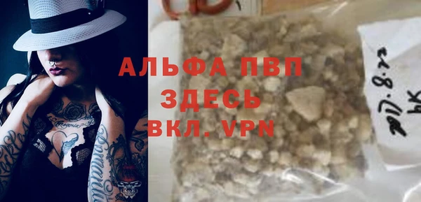 стаф Арсеньев