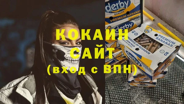 стаф Арсеньев
