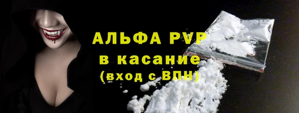 стаф Арсеньев